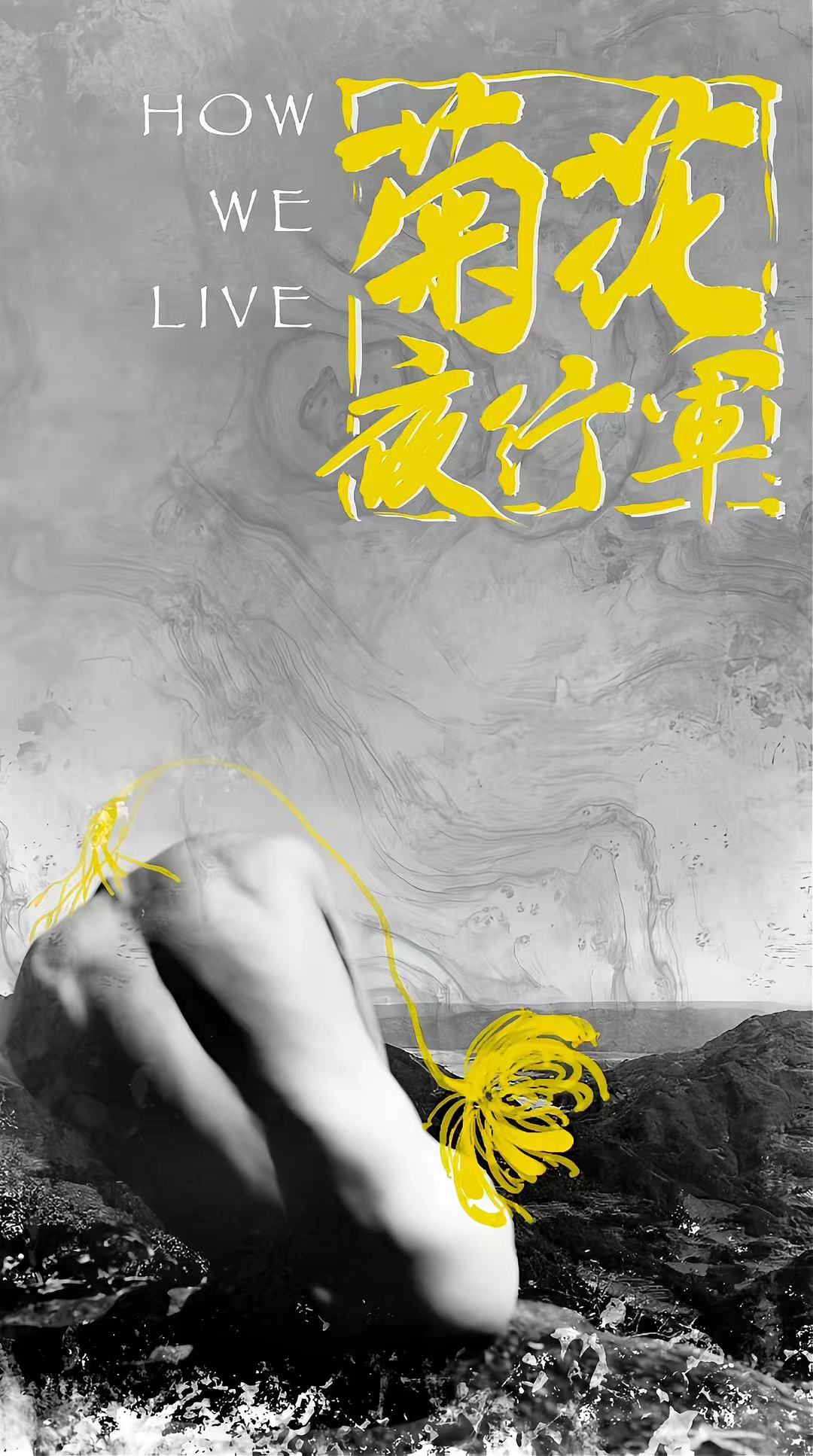 菊花夜行军 作品海报
